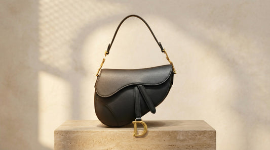 Style Christian Dior Saddle noir